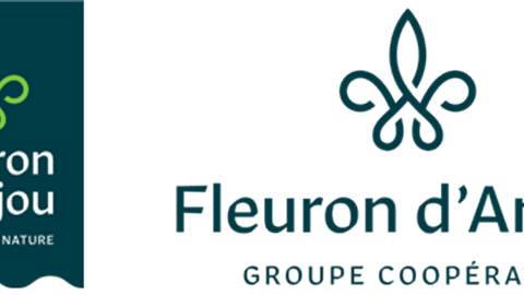 Pour la marque commerciale, le découpage en forme de bannière du Moyen Âge renvoie à un ancrage historique, tout comme aux stores des épiceries et aux sillons des champs de culture. Pour le logo de la marque corporate, la fleur de lys symbolise le haut niveau d‘exigence qualitatif. © Fleuron d’Anjou